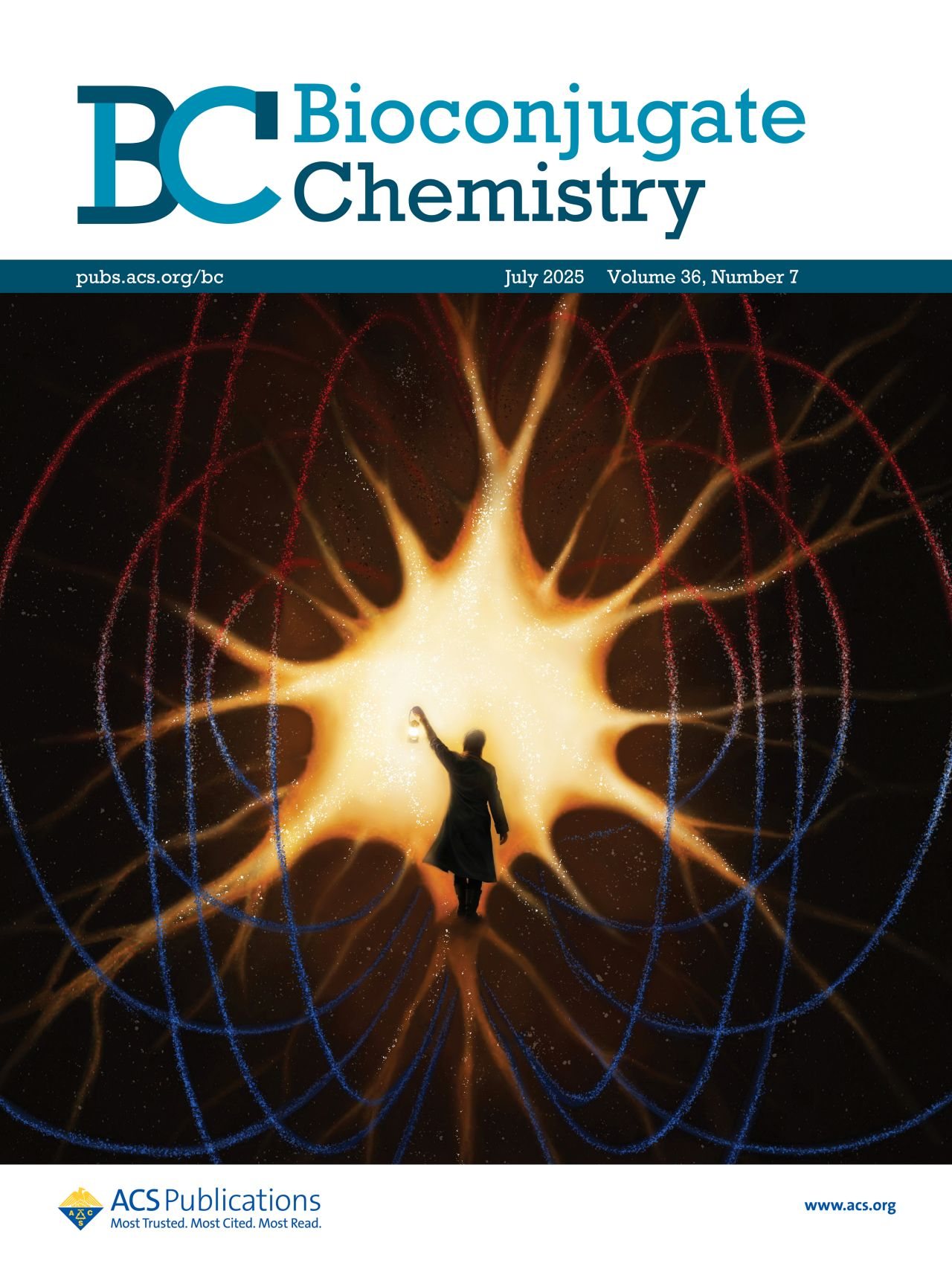 Bioconjugate Chemistry July 2025 journal cover with a glowing neuron-inspired scientific illustration.