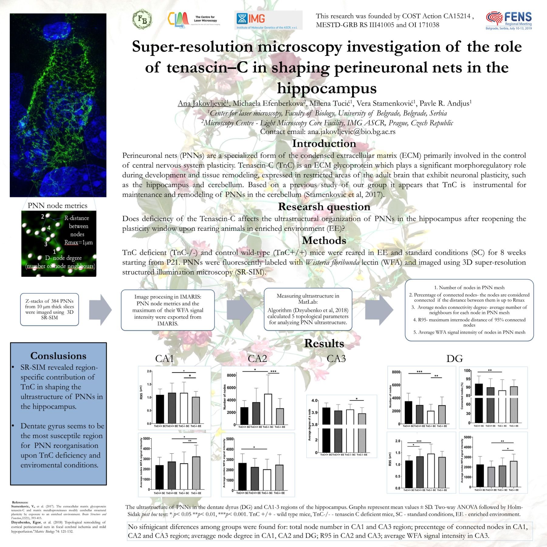 Poster on super-resolution microscopy investigation of Tenascin-C in shaping perineuronal nets in the hippocampus.